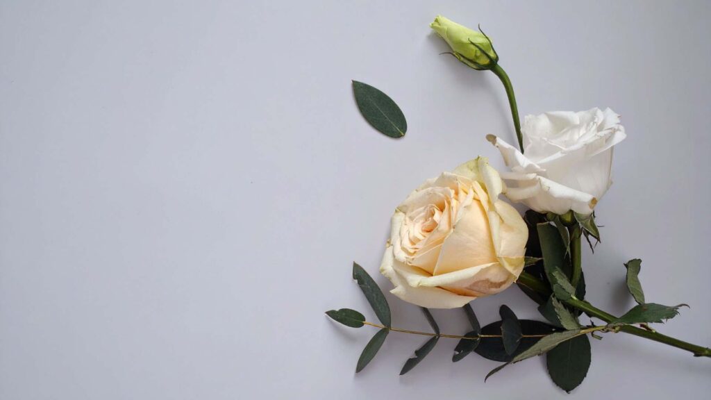 Hommage Armand Abécassis - ORT Strasbourg